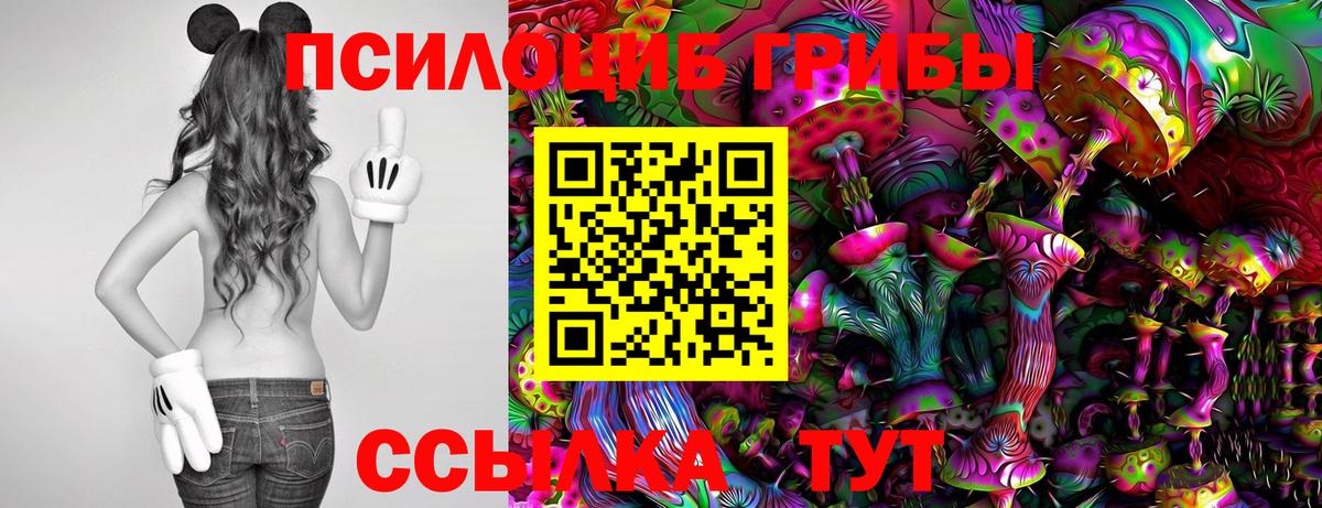 Будённовск  Галлюциногенные грибы GOLDEN TEACHER  Псилоцибиновые грибы мухоморы  Вход с VPN 